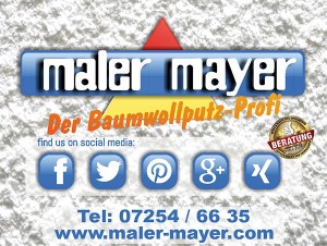 MalerMayer_web