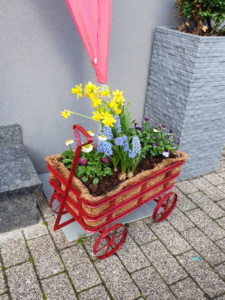 Blumen auf der Baustelle